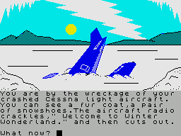 Winter Wonderland (1986)(Incentive Software)
